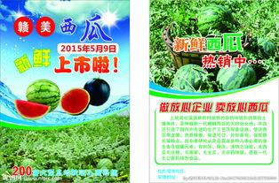 娱乐吃瓜酱超市促销单,优惠福利等你来拿！